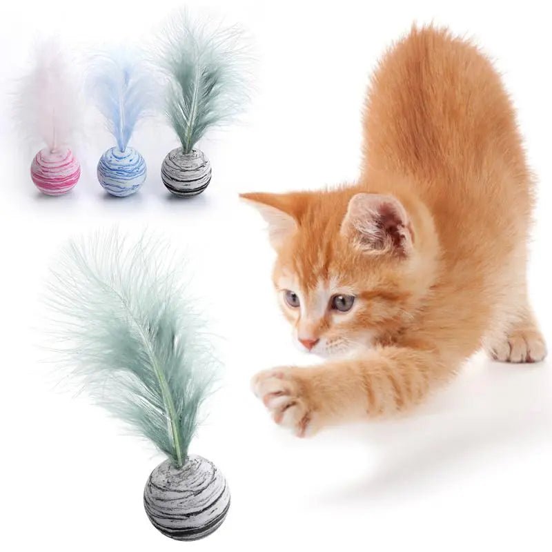 Funny Cat Toy - Feather Ball - My Pet Is Very Cute