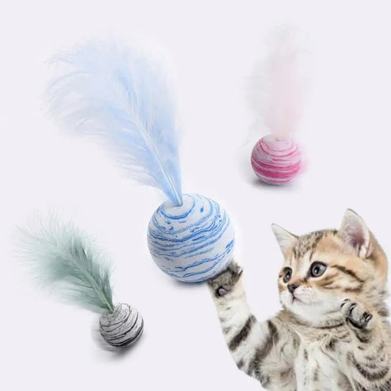 Funny Cat Toy - Feather Ball - My Pet Is Very Cute