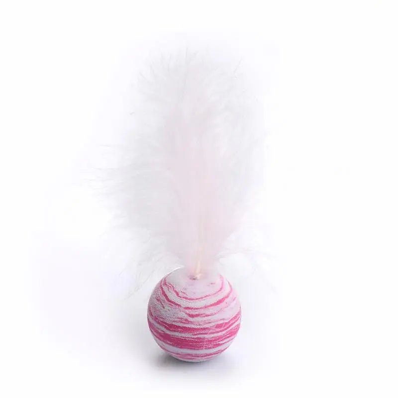 Funny Cat Toy - Feather Ball - My Pet Is Very Cute