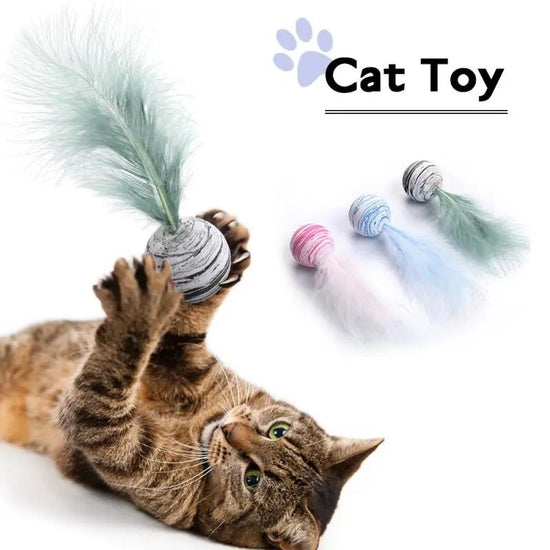 Funny Cat Toy - Feather Ball - My Pet Is Very Cute